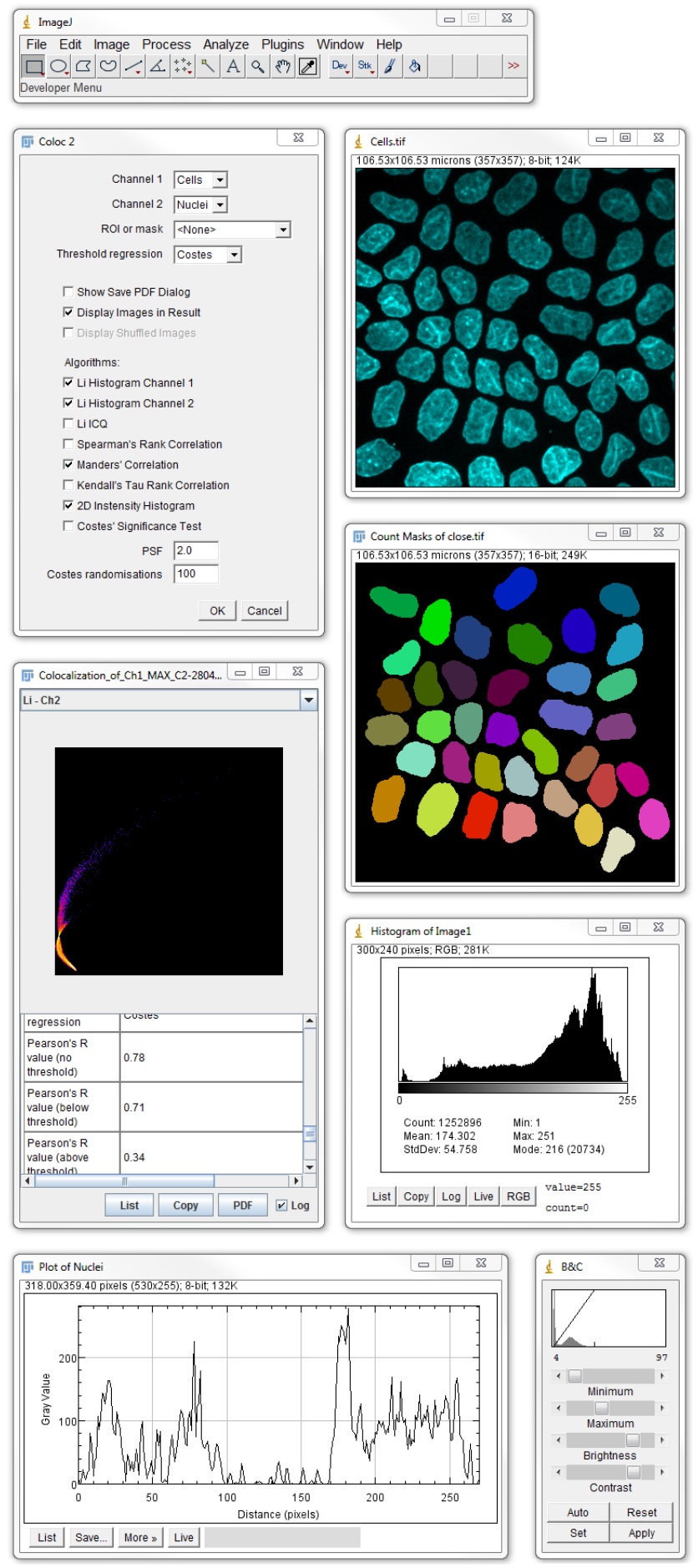 fiji imagej diffusion reconstruction